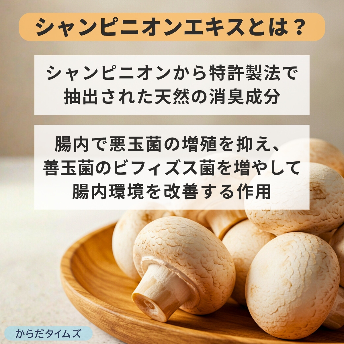 シャンピニオンエキスで口臭が発生しにくい体質づくり