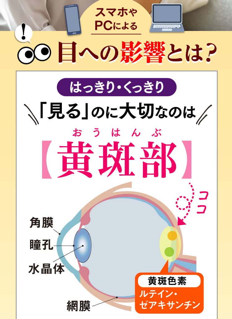 スマホやPCによる目への影響とは？