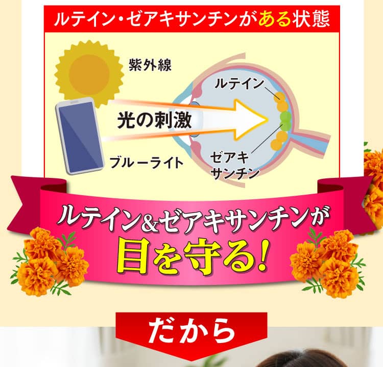 ルテイン＆ゼアキサンチンが目を守る！