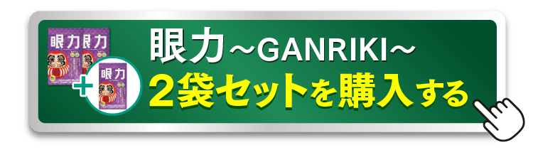 眼力2袋セットを購入するボタン