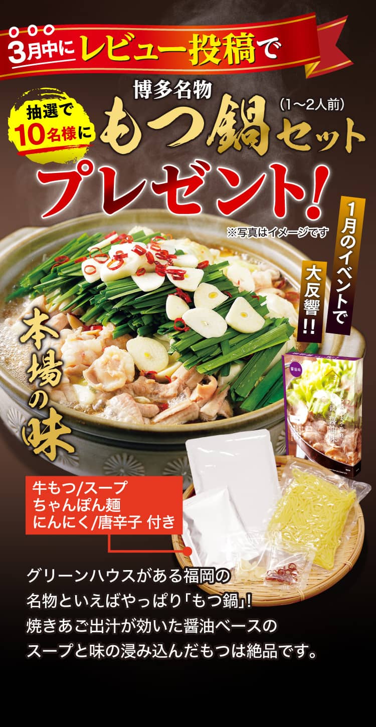 3月中にレビュー投稿で博多名物もつ鍋セットプレゼント！ あご出汁が効いた本場の味！