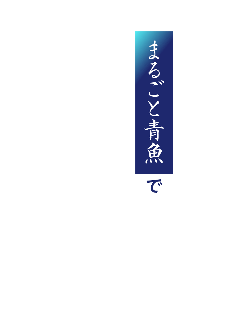 まるごと青魚で