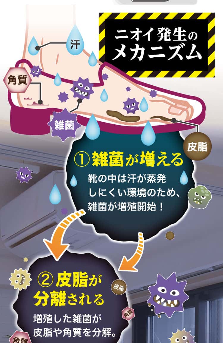 ニオイ発生のメカニズム