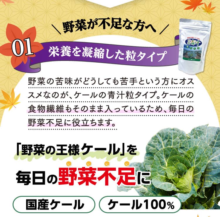 野菜が不足な方へ 栄養を凝縮した粒タイプ