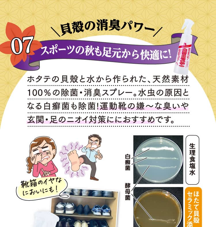 貝殻の消臭パワー スポーツの秋も足元から快適に！