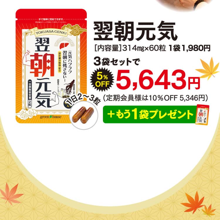 翌朝元気オファー